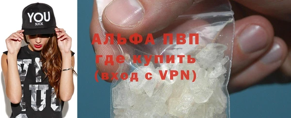 стаф Арсеньев