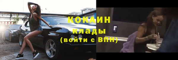 стаф Арсеньев
