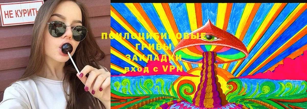 дживик Баксан