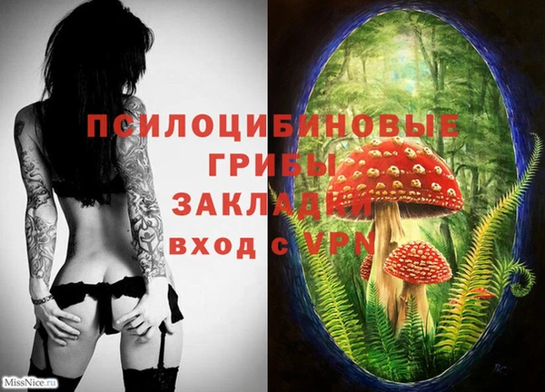 стаф Арсеньев