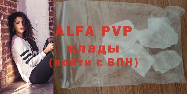 стаф Арсеньев